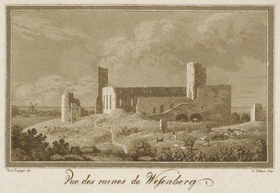 Vue des Ruines du Château de Rakvere - Theodor Gehlhaar
