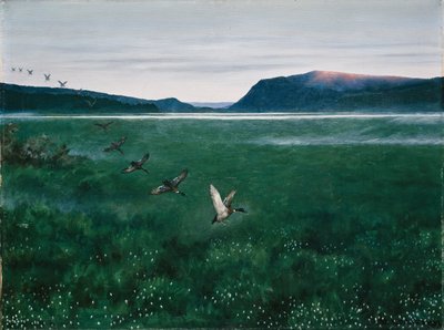 Les douze canards sauvages - Theodor Kittelsen