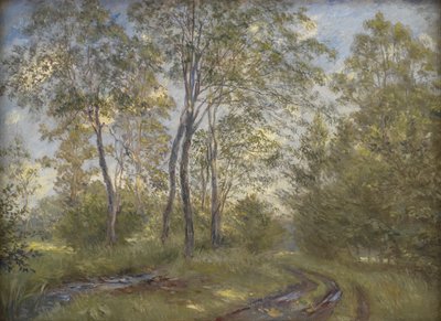 Une rivière près du manoir de Meilgård, Jutland - Theodor Philipsen