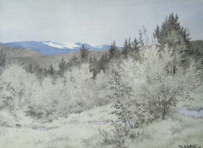 Loin, très loin dans la forêt - Theodor Kittelsen