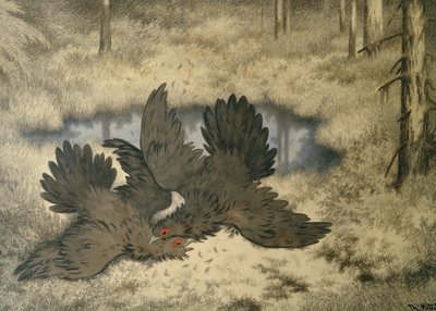Le combat des oiseaux trolls - Theodor Kittelsen