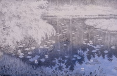 Il y a un étang à Svartebudale - Theodor Kittelsen