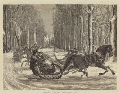Promenade en traîneau à La Haye, Hollande - Theodore Blake Wirgman