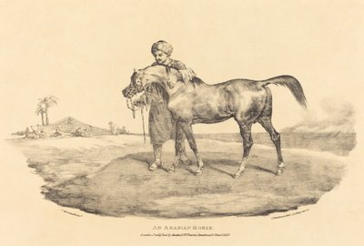 Un cheval arabe - Theodore Gericault