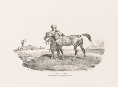 Un cheval arabe - Theodore Gericault