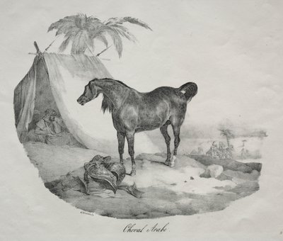 Cheval arabe - Theodore Gericault