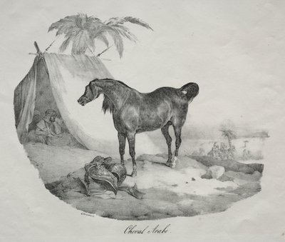 Cheval arabe - Theodore Gericault
