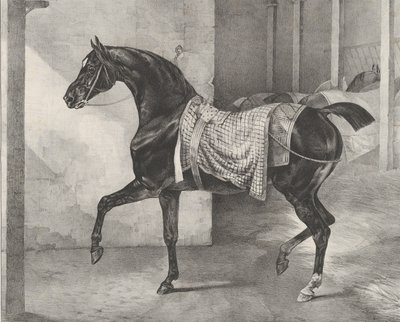 Cheval noir attaché dans une écurie, 1822 - Theodore Gericault