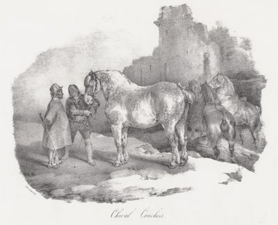 Le cheval Cauchois (une race autochtone originaire de Caux, en Normandie) - Theodore Gericault