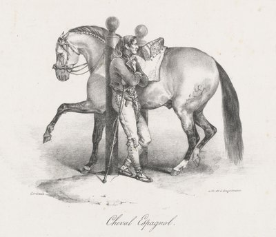 Cheval Espagnol (A Spanish Horse) - Theodore Gericault