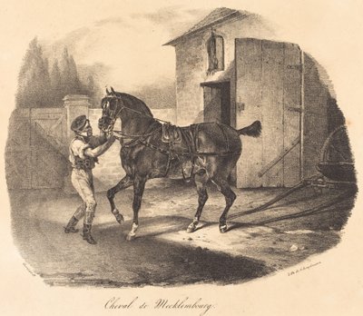 Cheval de Mecklembourg - Theodore Gericault