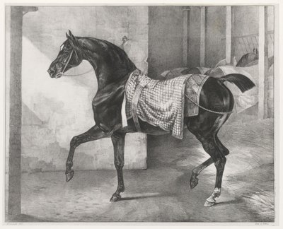 Cheval noir attaché dans une écurie (A Black Horse Tethered in a Stable) - Theodore Gericault