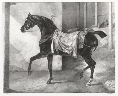 Cheval noir attaché dans une écurie (A Black Horse Tethered in a Stable) - Theodore Gericault