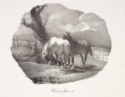 Chevaux flamands - Theodore Gericault
