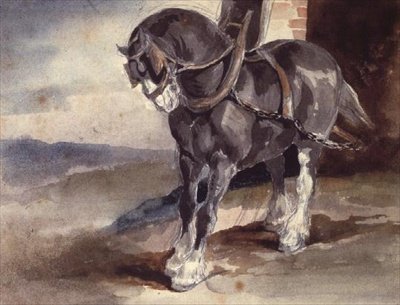Cheval de trait près d