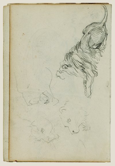 Quatre études sur les lions - Theodore Gericault