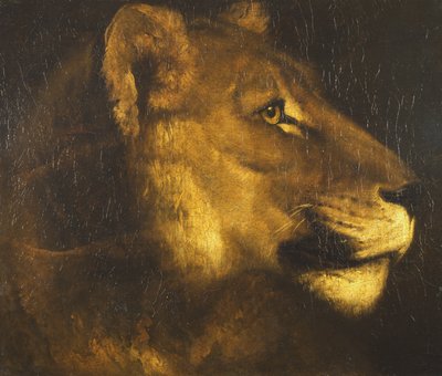 Tête de lionne - Theodore Gericault