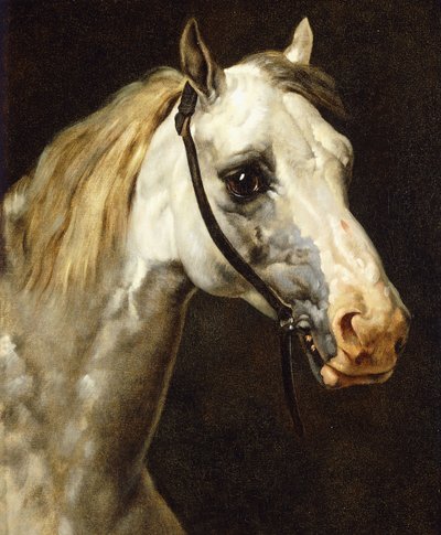 Feuille d'étude de chevaux double face par Théodore Géricault (1791-1924) -  XIXe siècle - N.106501