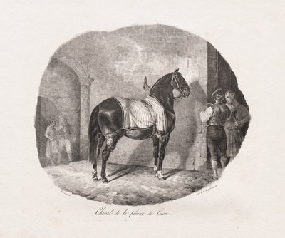 Cheval de la plaine de Caen - Theodore Gericault