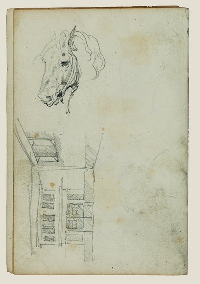 Tête de cheval, vue d