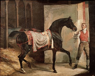 Cheval quittant l