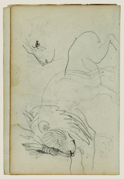 Études sur les lions - Theodore Gericault