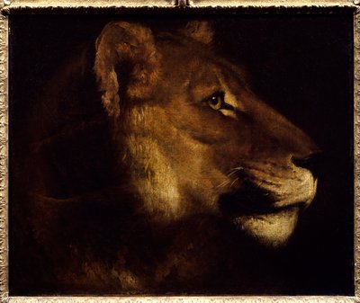 Tête de lionne - Theodore Gericault