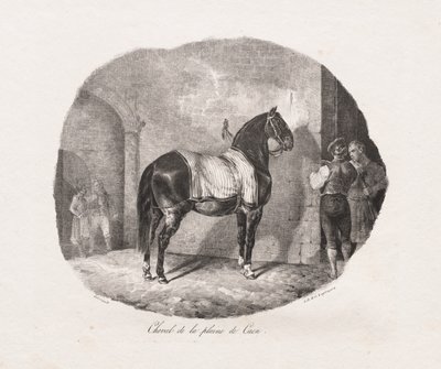 Études lithographiées de chevaux : Pl. 7, Cheval de la plaine de Caen - Theodore Gericault