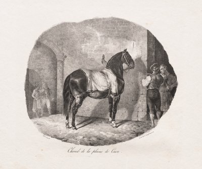 Études lithographiées de chevaux : Pl. 7, Cheval de la plaine de Caen, 1822 - Theodore Gericault