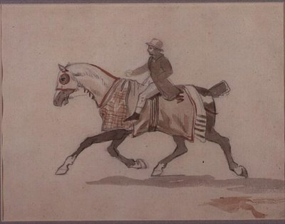 Petit garçon d