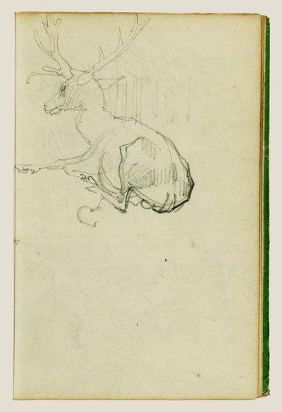 Cerf assis - Theodore Gericault