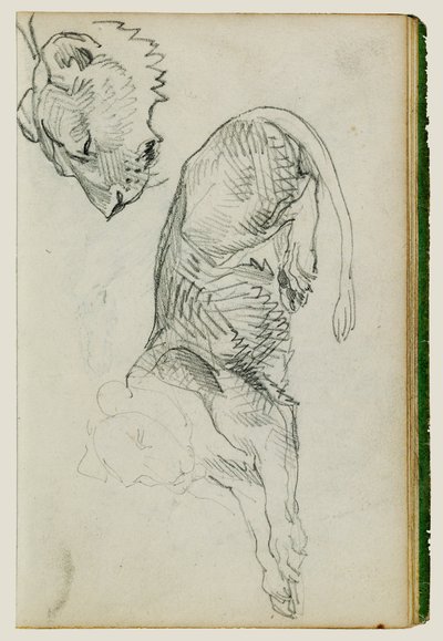 Lion assis, tête de lionne - Theodore Gericault