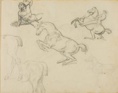 Croquis : Nu allongé, un cavalier et divers chevaux - Theodore Gericault