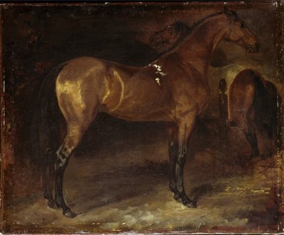 Cheval espagnol - Theodore Gericault