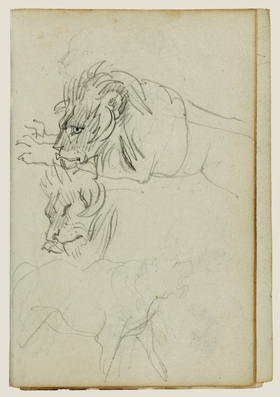 Trois études sur les lions - Theodore Gericault