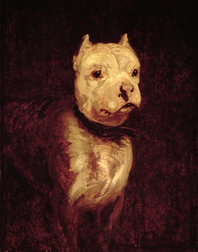 Image inconnue - Theodore Gericault
