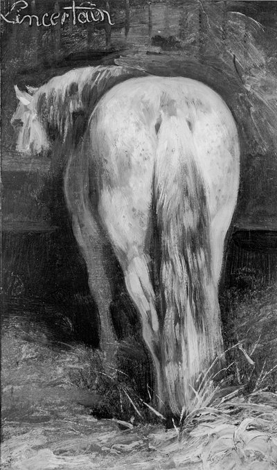 Incertain, le cheval dans l
