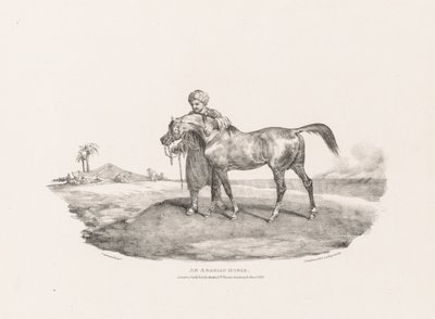 Divers sujets dessinés d