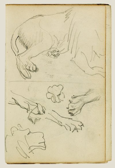 Diverses études de jambes, pattes et tête de lion - Theodore Gericault