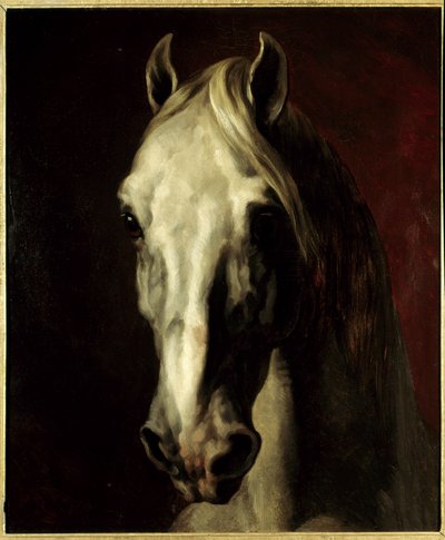 Tête de cheval blanc - Theodore Gericault