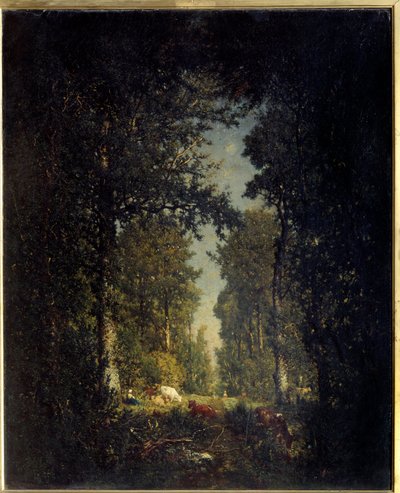 Une avenue, forêt de l