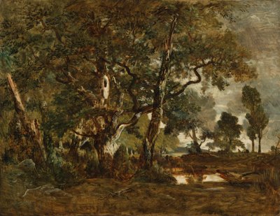 Forêt de Fontainebleau, groupe de grands arbres surplombant la plaine de Clair-Bois à la limite du Bas-Bréau - Theodore Rousseau