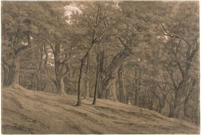 Dans la forêt de Fontainbleau - Theodore Rousseau