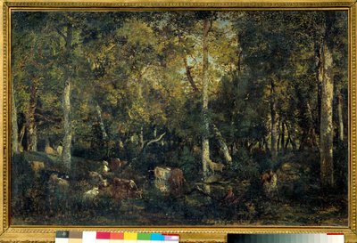 Intérieur de bois dit le Vieux Dormoir du Bas-Bréau (Forêt de Fontainebleau) - Pierre Etienne Theodore Rousseau