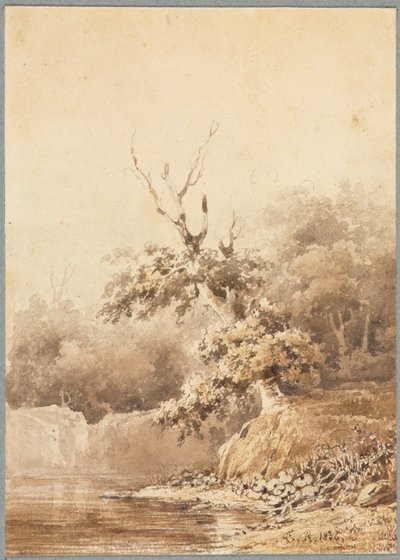 Paysage - Theodore Rousseau