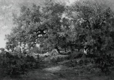 Paysage, vers 1860 - Theodore Rousseau