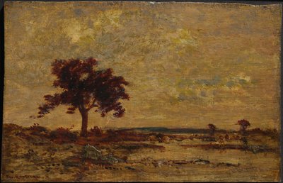Marais, non daté - Theodore Rousseau