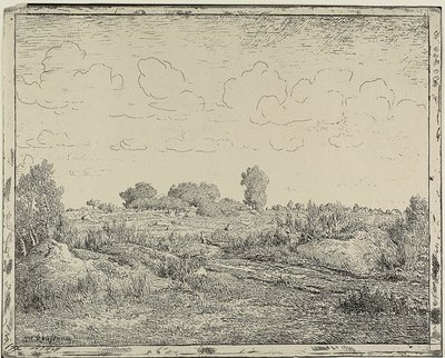 Plaine à Plante à Biau - Theodore Rousseau