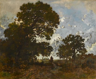 Le Hêtre dans la Forêt de L