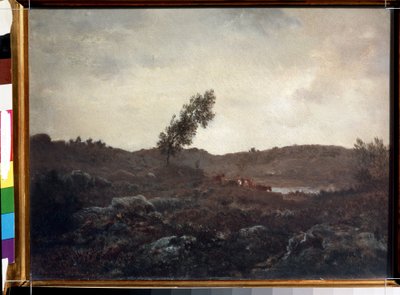 Vue de Barbizon - Theodore Rousseau